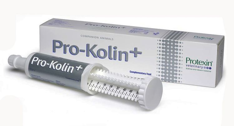 Проколин (pro-kolin) для собак: описание препарата, состав, форма выпуска, назначение, дозировка, противопоказания, аналоги