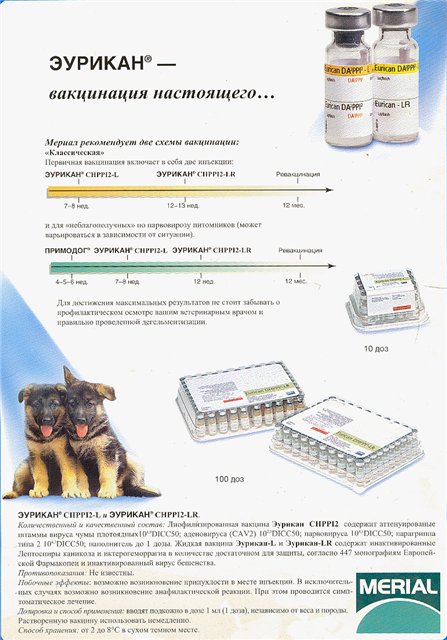 Эурикан для собак: инструкция по применению вакцины от бешенства, схема вакцинации и дозировка, противопоказания - kotiko.ru