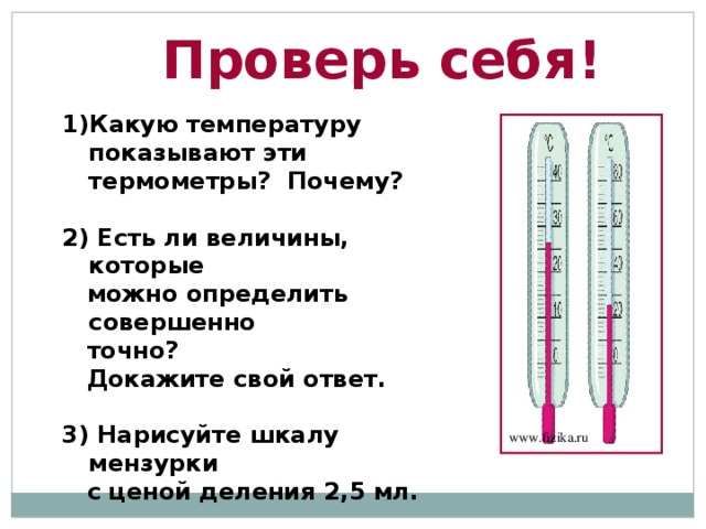 Признаки и причины температуры у кошки повышенной или пониженной, как сбить в домашних условиях - petstory