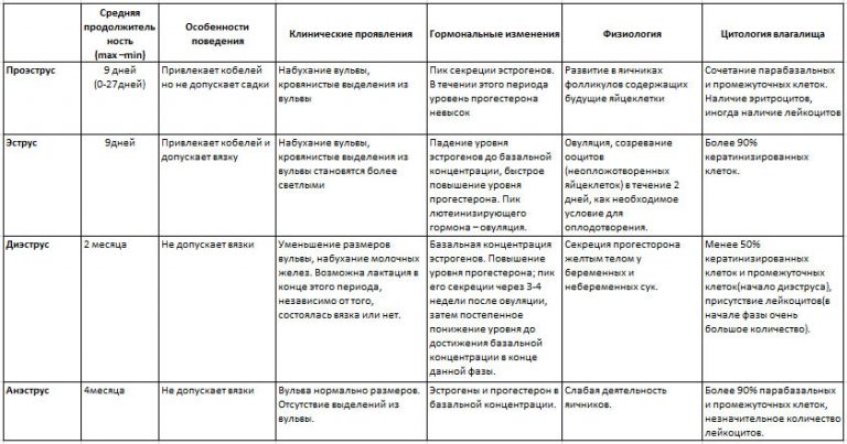 Сколько по времени (дней) длится течка у кошек?
