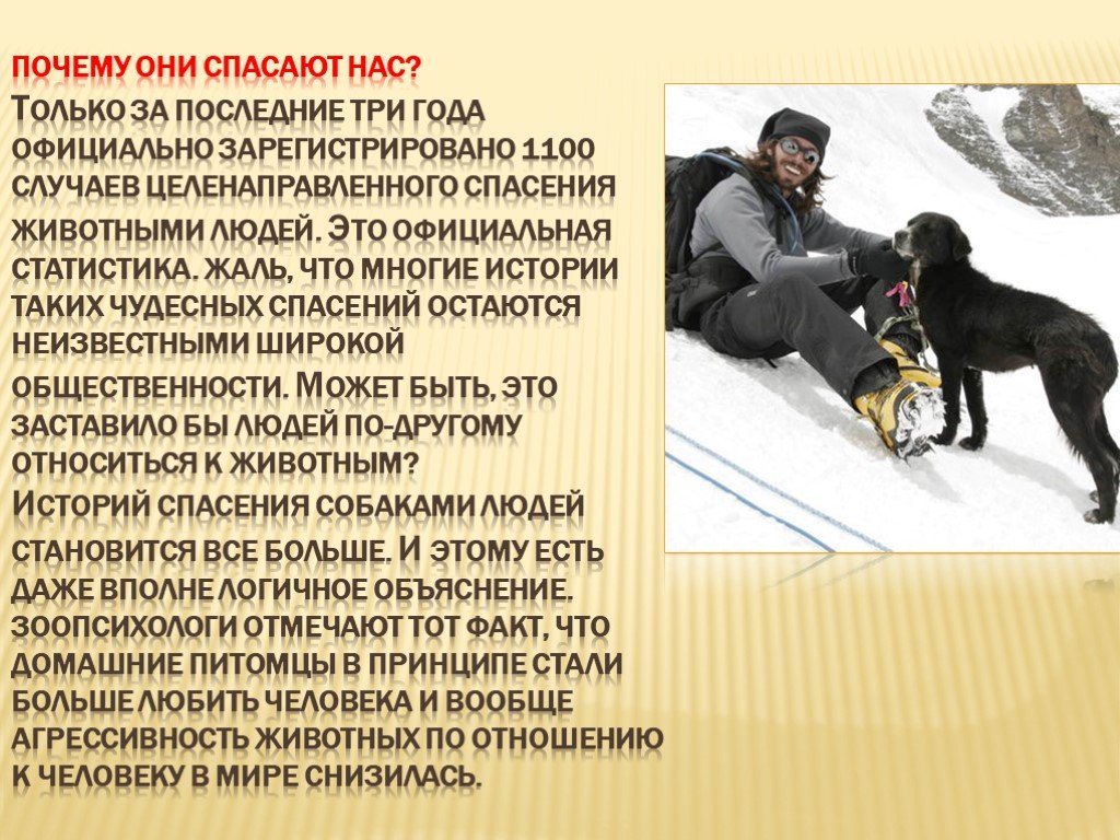 10 невероятных случаев спасения человека животными