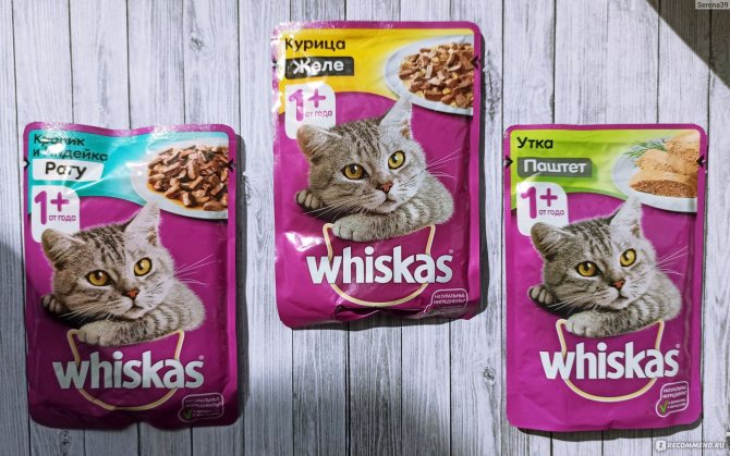 Вискас для кошек: отзывы ветеринаров и потребителей о корме. вискас для кошек: отзывы ветеринаров и потребителей о корме основные компоненты сухого корма whiskas