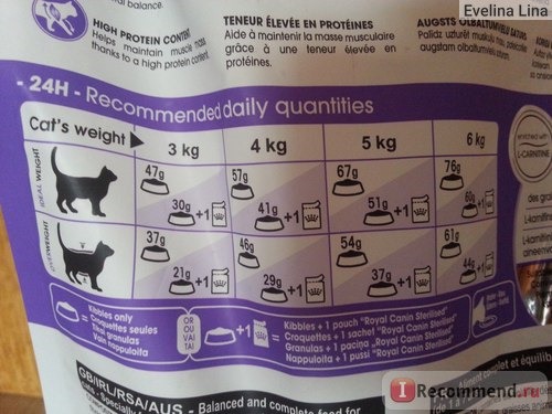 Рейтинг кормов для кошек