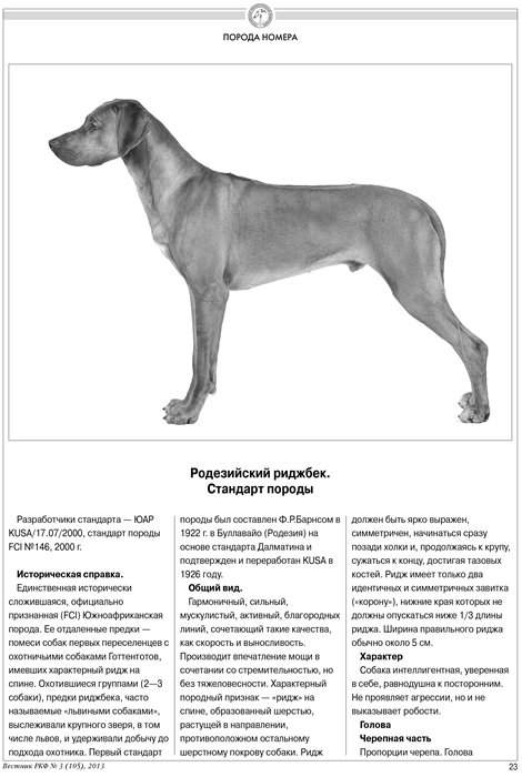 Собака породы аргентинский дог. описание, особенности, характер, уход и цена | живность.ру