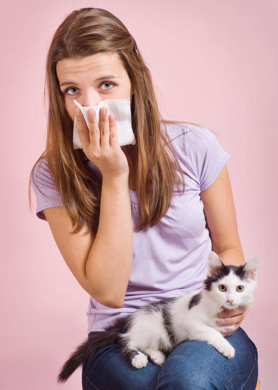 Аллергия на кошек - симптомы и лечение у детей и взрослых