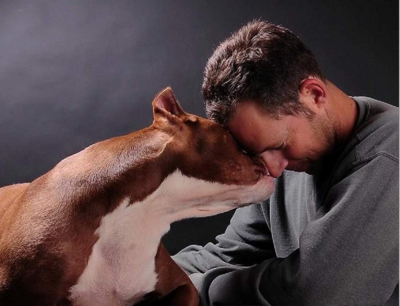 10 причин, почему собака - лучший друг человека