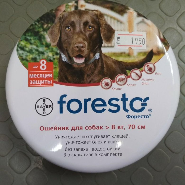 Форесто ошейник для собак от клещей (foresto): инструкция, отзывы, цена купить | petguru