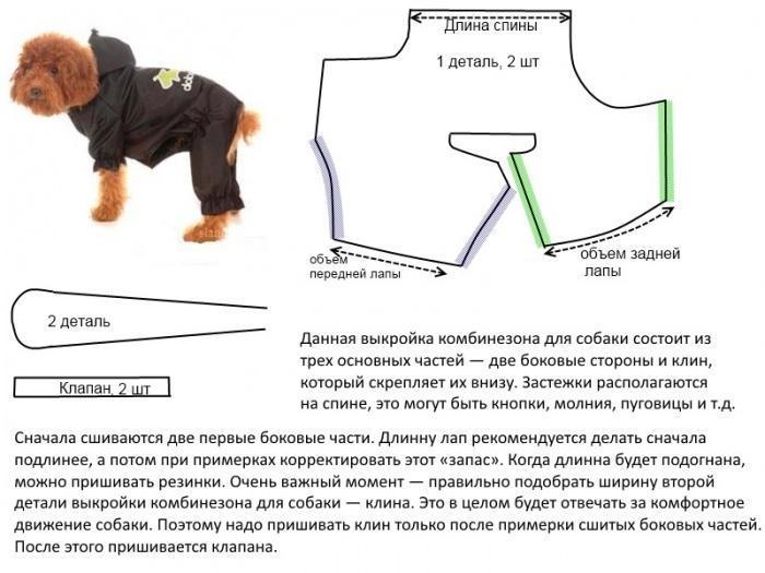 Проект по технологии одежда для собак