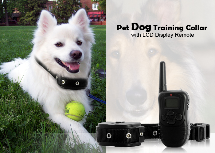 Методика обучения собаки при помощи электронного ошейника. часть 1
