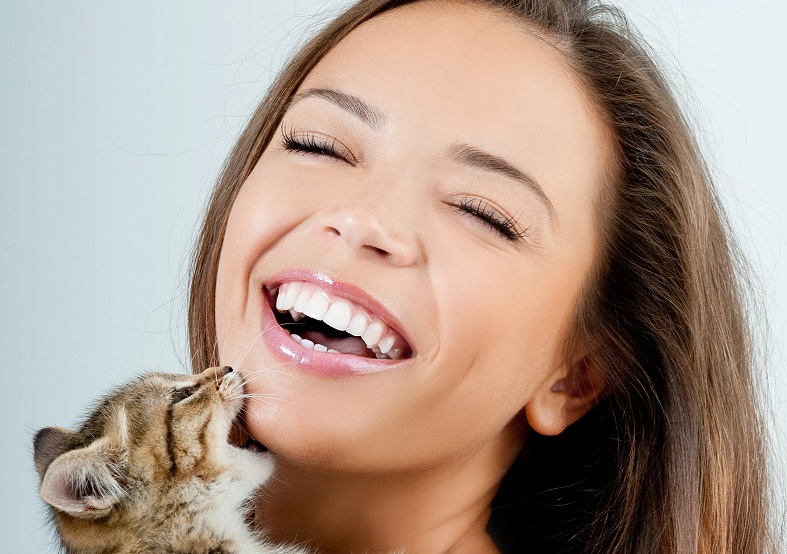 10 признаков того, что ваша кошка счастлива - национальный банк новостей