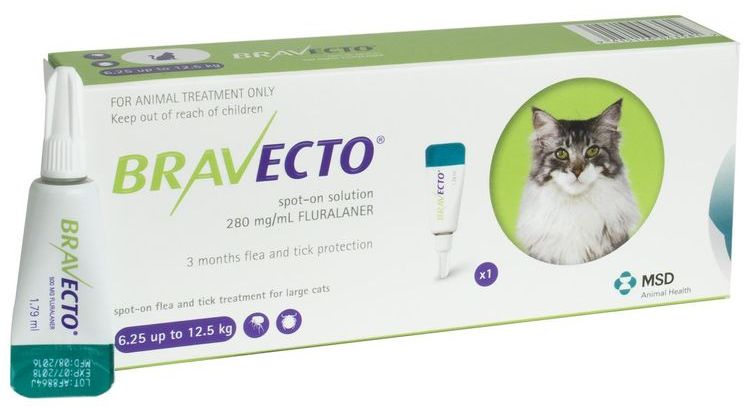 Экс для кошек (капли или таблетки): когда и сколько давать + отзывы о препарате для регуляции половой охоты у кошек
