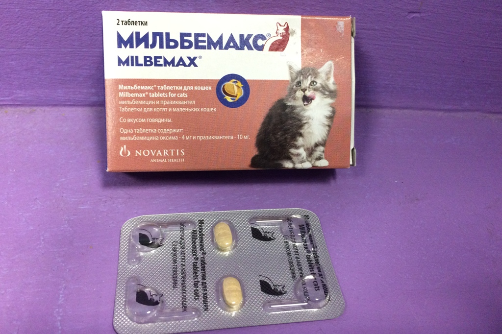Мильбемакс для кошек подробное описание, применениемильбемакс для кошек подробное описание, применение
