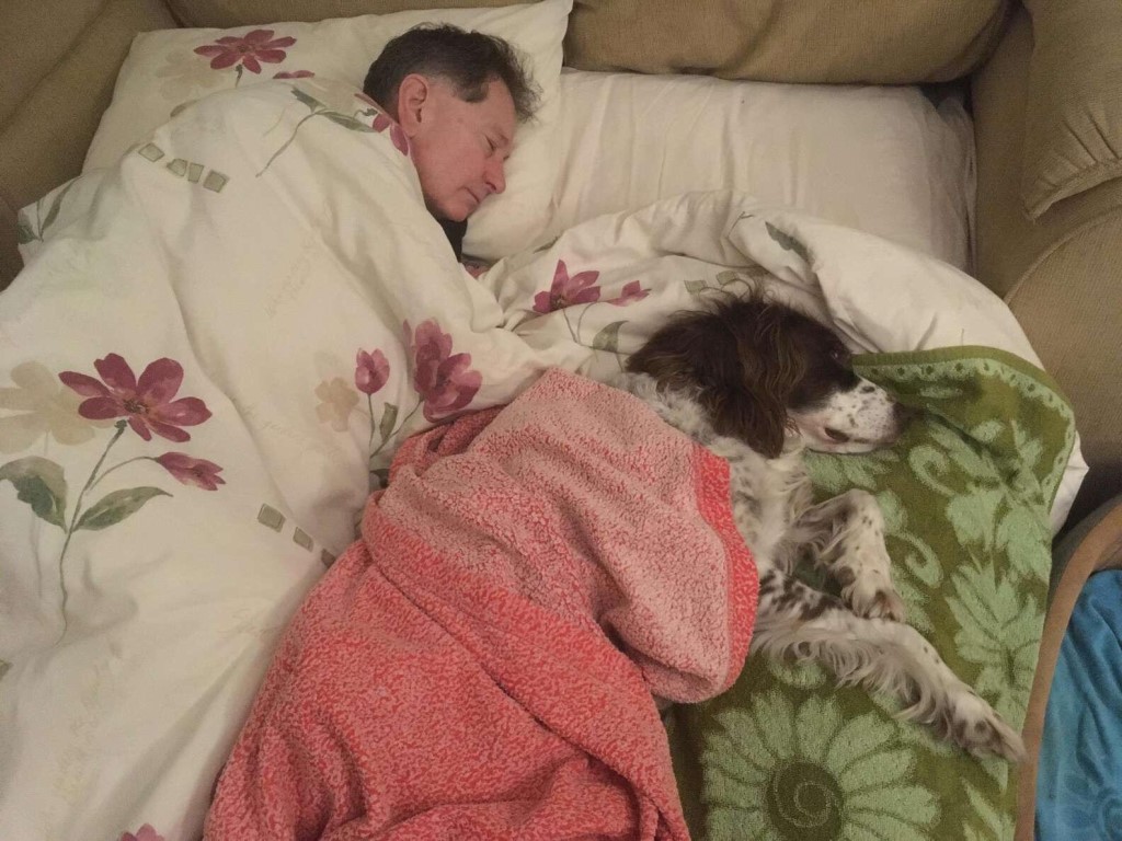 Как приучить щенка спать ночью | блог ветклиники "беланта"