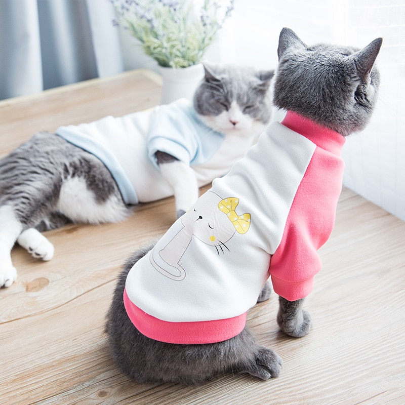 Как сделать одежду для кошки самостоятельно
