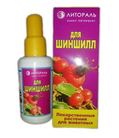 Чем кормить шиншиллу в домашних условиях