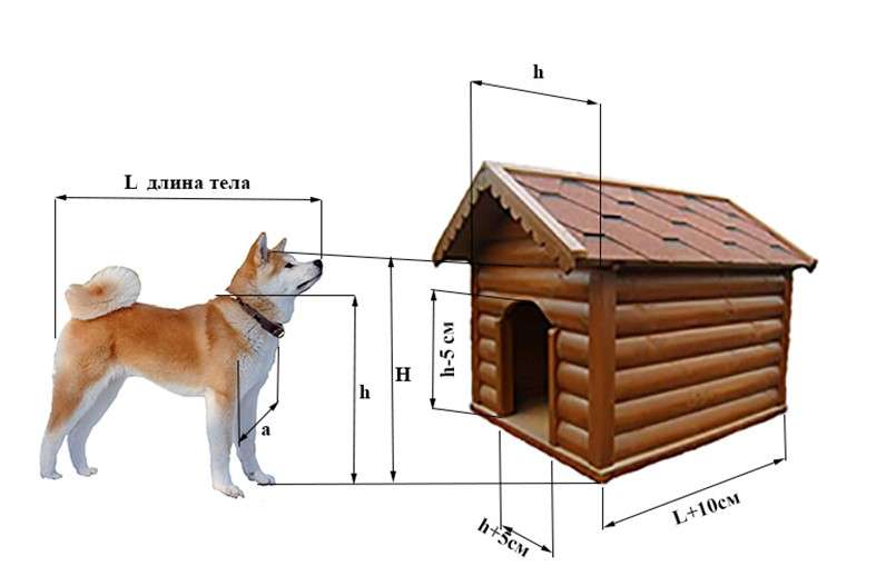 Вольеры для собак своими руками: чертежи и тонкости постройки