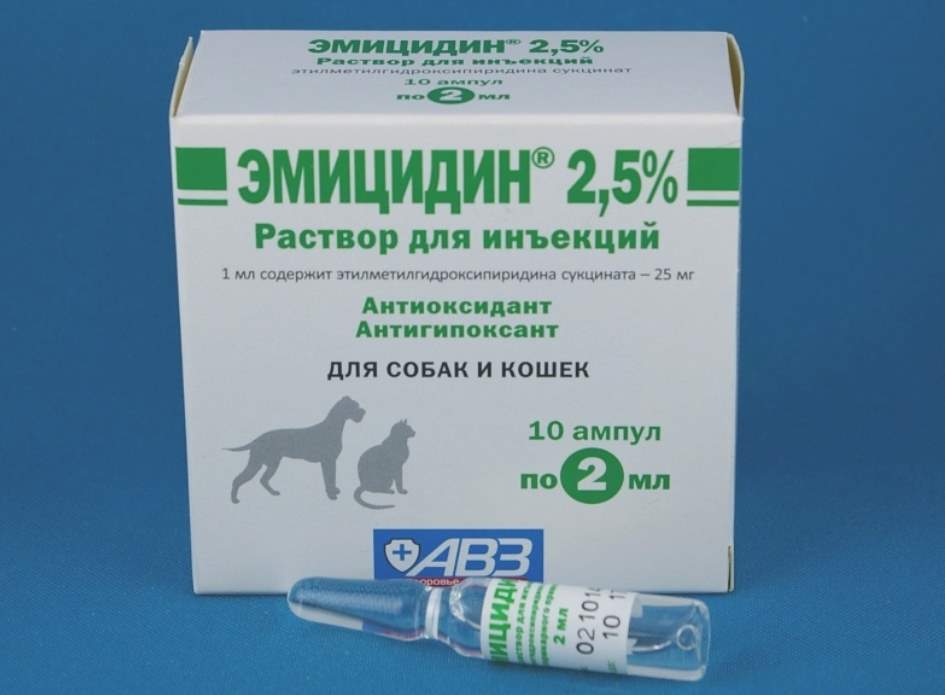 Препарат эмицидин: эффективное средство для восстановления организма кошки
