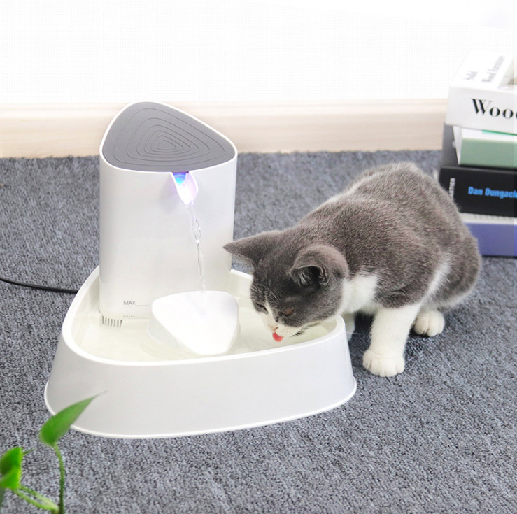 Поилки для кошек: фото и видео инструкция по выбору и применению автоматической поилки