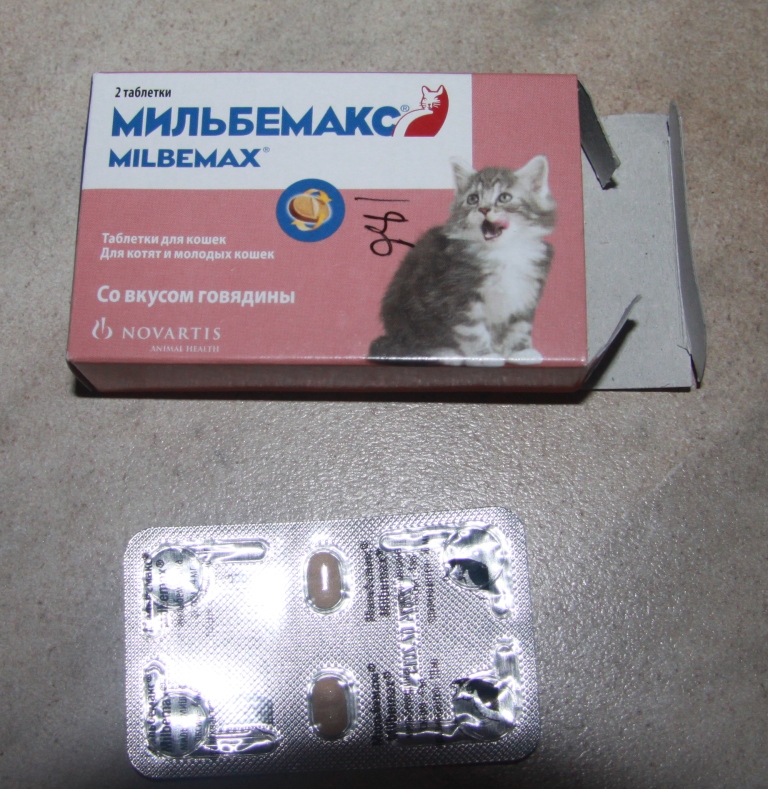 Мильбемакс для кошек: инструкция по применению, дозировка и эффективность лечения