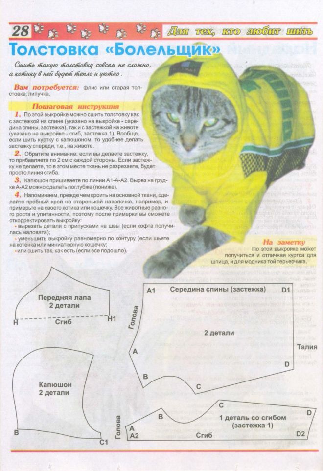Выкройка одежды для кошек и котов своими руками, выкройки подробно, из чего шить, пошаговая инструкция изготовления