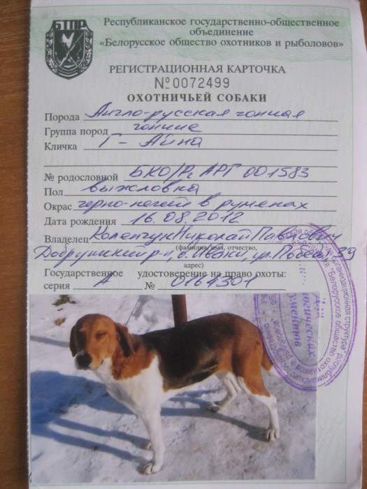 Обзор русских кличек для собак