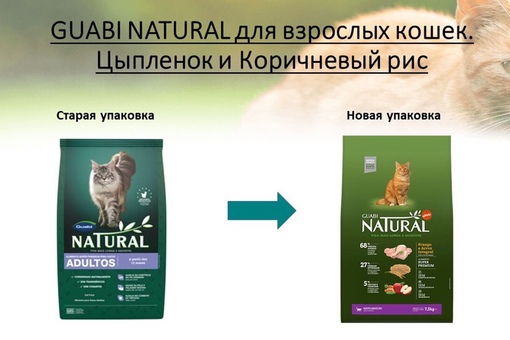Guabi natural (гуаби натурал): обзор корма для кошек, состав, отзывы