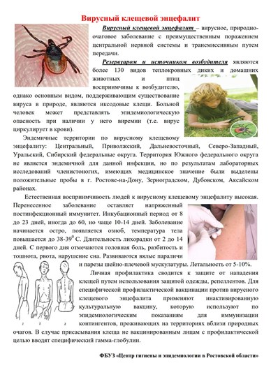 Воспалительные заболевания цнс у собак и кошек