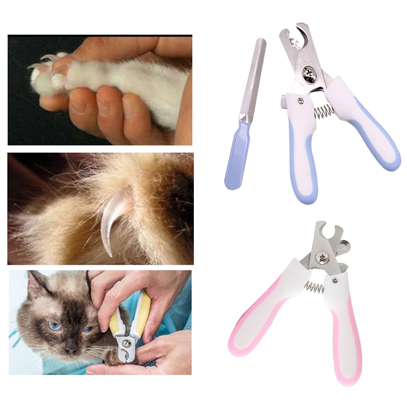 Когтерезка для кошки: нужно ли стричь когти, выбор ножниц для стрижки ноготков, необходимость приобретения когтереза