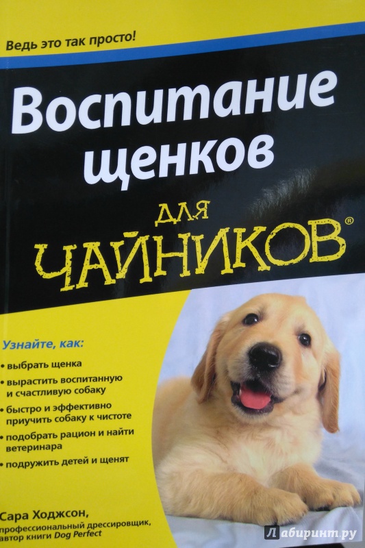 Как правильно воспитывать собаку