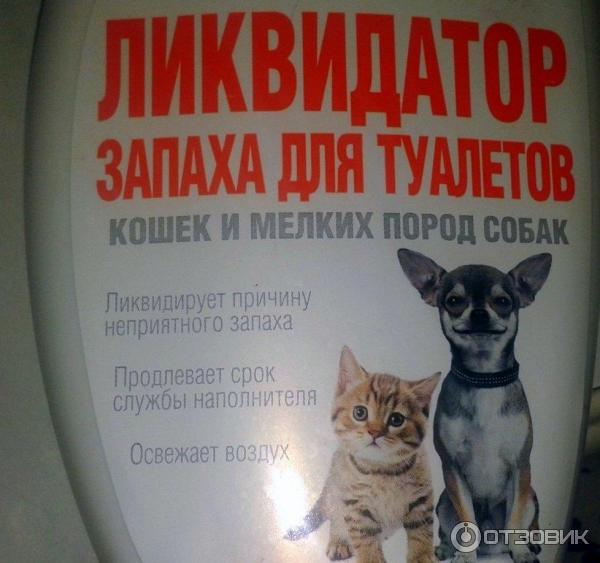 У кошки воняет моча. Ликвидатор запаха для кошачьего туалета. Ликвидатор запаха кошачьей мочи. Антизапах для кошачьего туалета. Кошачий туалет без запаха.