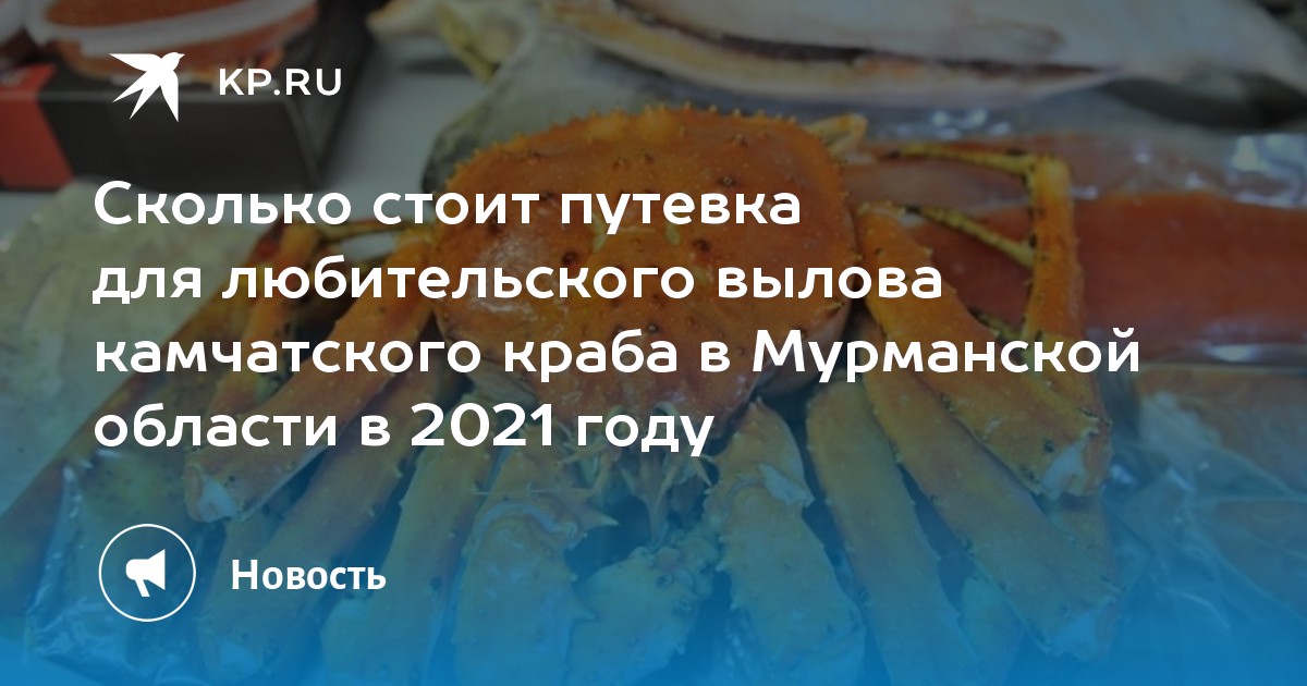 Как снять зубной камень у собаки? советы владельцам