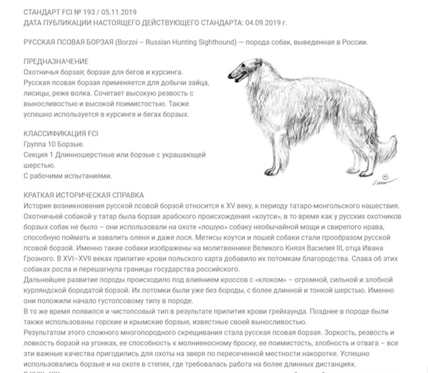 Русская псовая борзая: фото и видео породы собак, окрасы, характер и характеристики породы