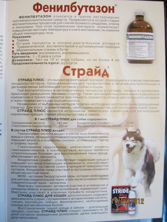 Вазосан (таблетки) для собак и кошек | отзывы о применении препаратов для животных от ветеринаров и заводчиков