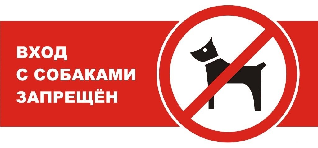 Почему нельзя оставлять собаку одну у магазина на привязи