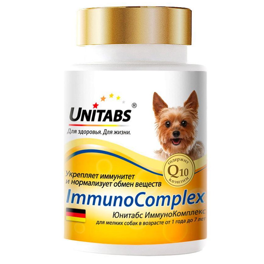 Витамины для собак: как выбрать для шерсти, суставов + отзывы | petguru