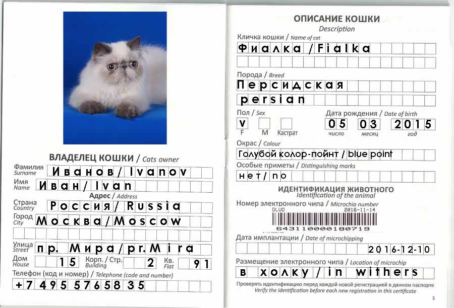 ᐉ как заполнить паспорт собаки? - ➡ motildazoo.ru