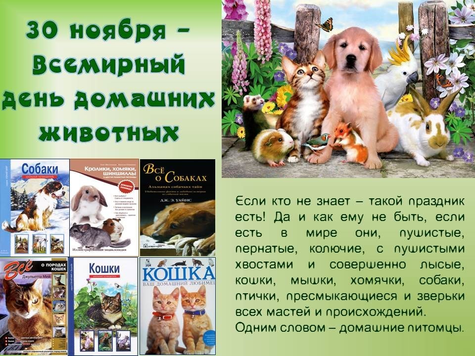 Когда отмечается всемирный праздник кошек, в какой день его отмечают в россии и других странах?
