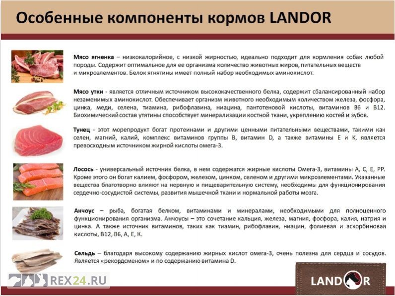 ᐉ обзор корма для кошек landor - ➡ motildazoo.ru