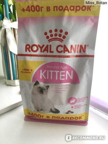Корм для кошек и котят royal canin («роял канин»): обзор линейки, состав, отзывы ветеринаров и владельцев животных