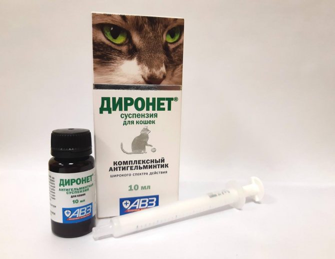 Диронет спот-он (капли) для кошек и собак | отзывы о применении препаратов для животных от ветеринаров и заводчиков