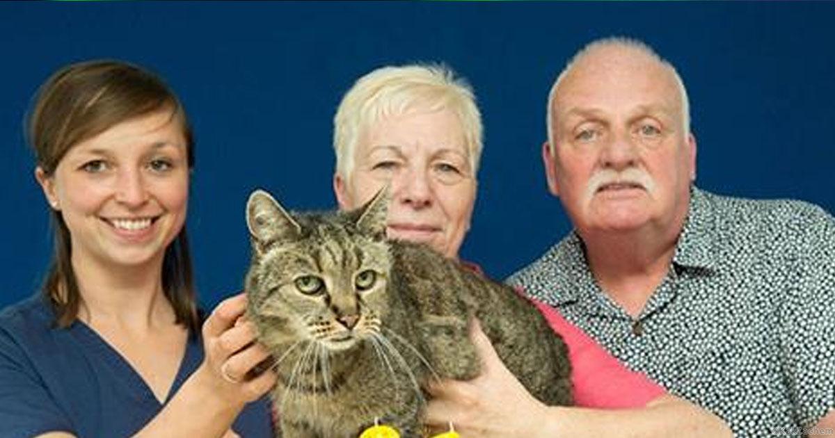 Самые старые коты в мире - возраст, фото и история