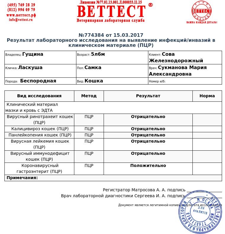 Панлейкопения кошек презентация