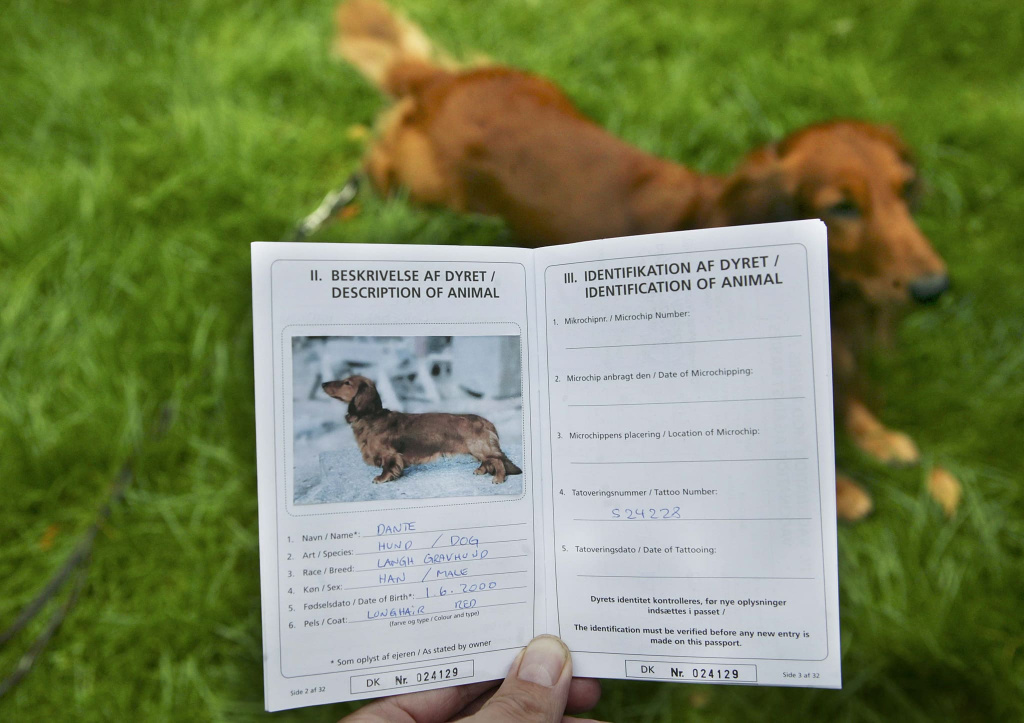 Порядок заполнения международных ветеринарных паспортов для собак