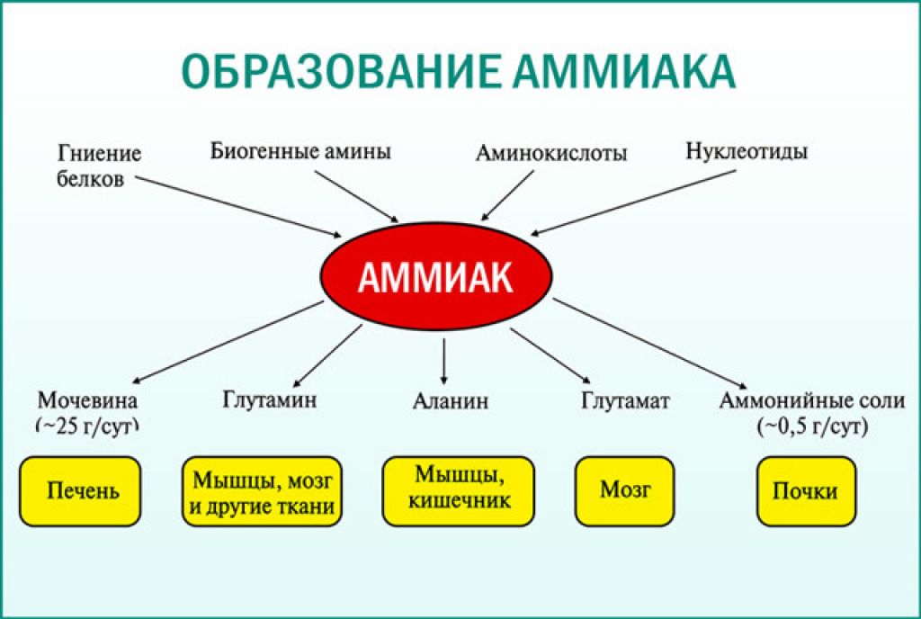 Моча на трусах у женщин