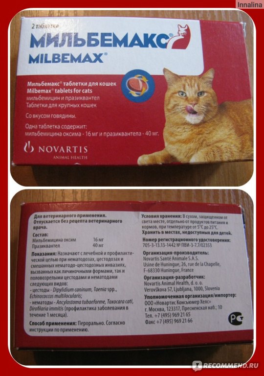 Мильбемакс для кошек и котов