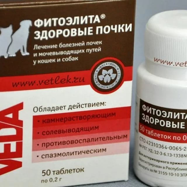 Лекарственный препарат фитоэлита для кошек: применение.