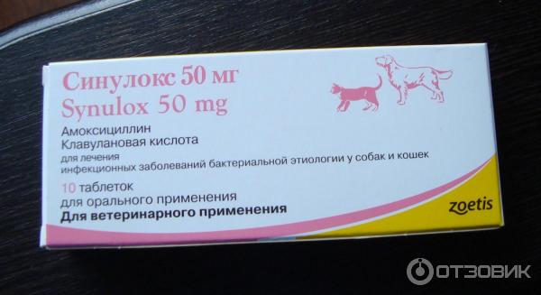 Инструкция по применению амоксициллина для кошек: дозировка таблеток и уколы для животного