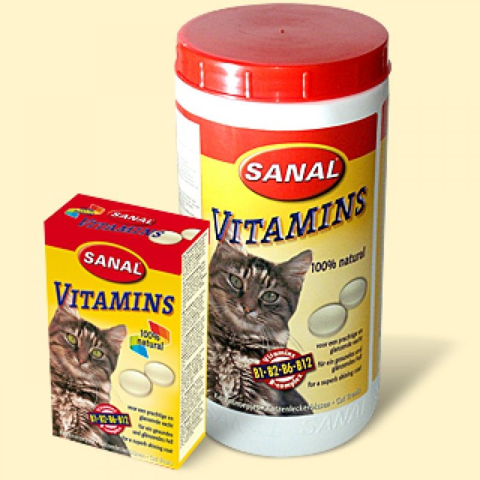 Лучшие витамины для кошек и котов: топ-10 рейтинг 2021