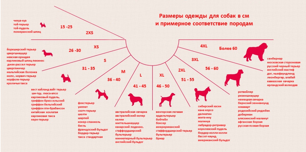 Размеры для собак на «алиэкспресс». разберемся, как выбрать размеры обуви и одежды для питомца