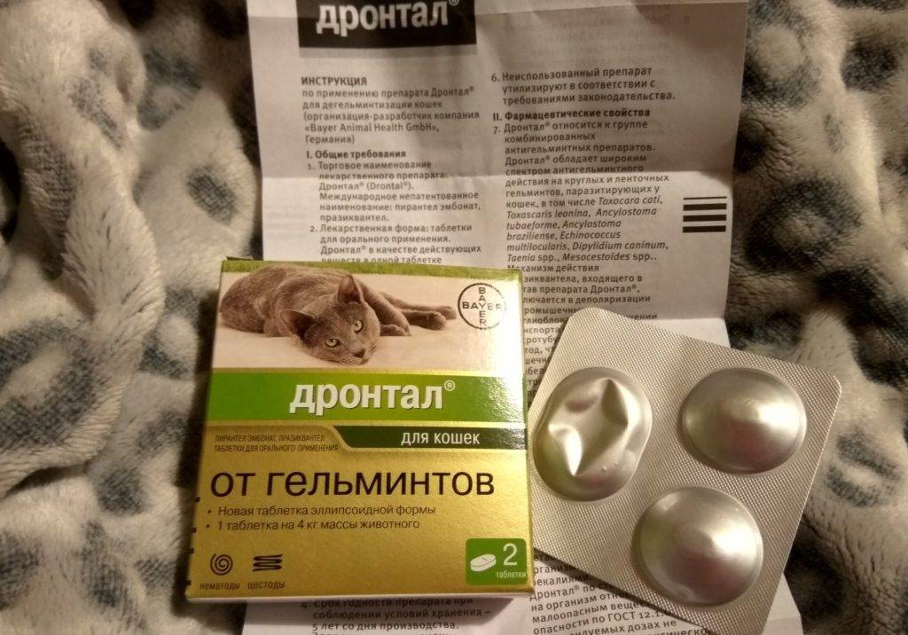 Пирантел для кошек от глистов (таблетки, суспензия): инструкция и дозировка